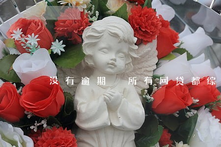 没有逾期 所有网贷都综合 没有逾期 所有网贷都综合